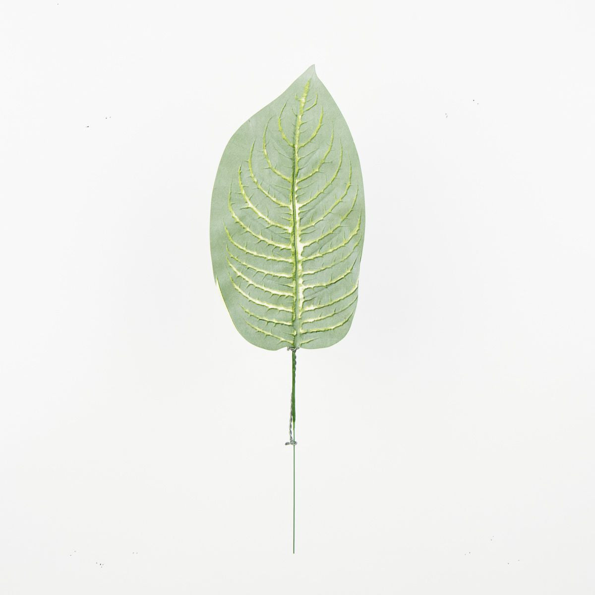 Tekolehti, 41 cm, 12 kpl