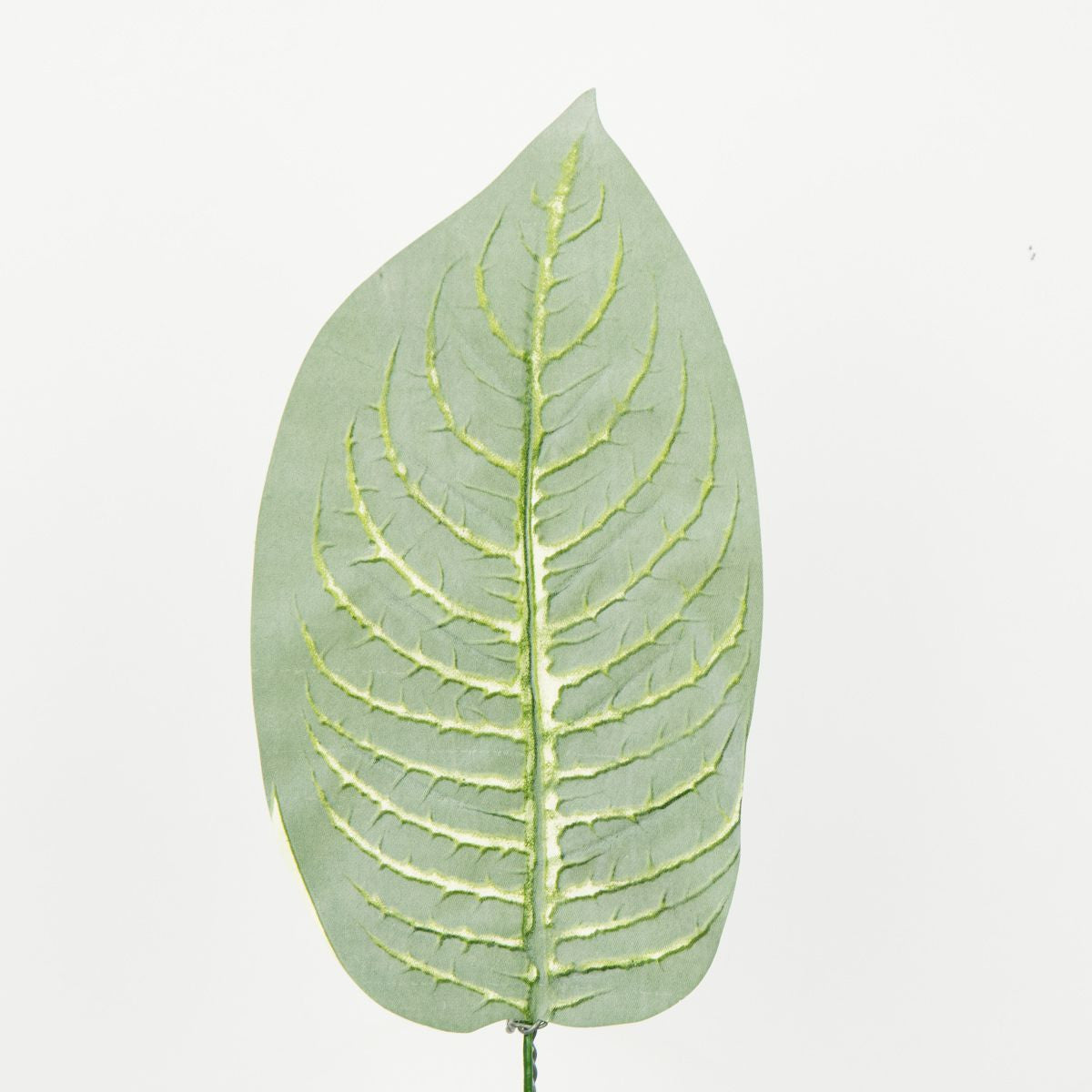 Tekolehti, 41 cm, 12 kpl