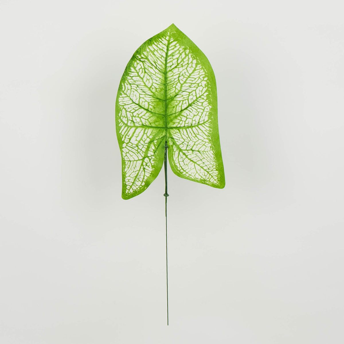Tekolehti, 46 cm, 12 kpl