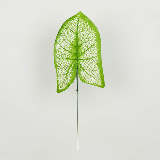 Tekolehti, 46 cm, 12 kpl
