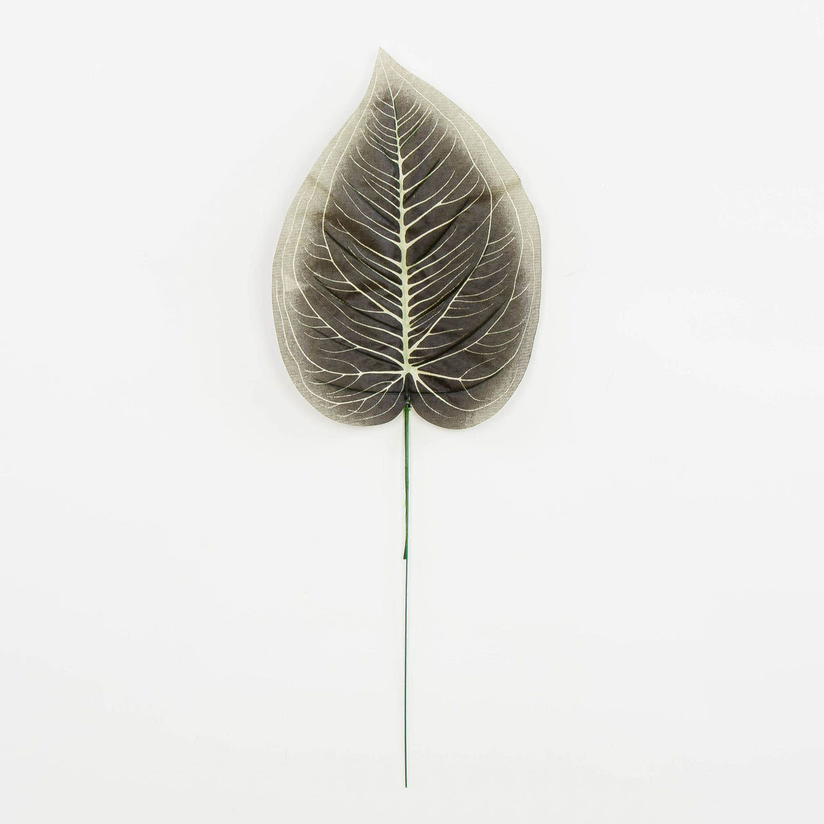 Tekolehti, 47 cm, 12 kpl