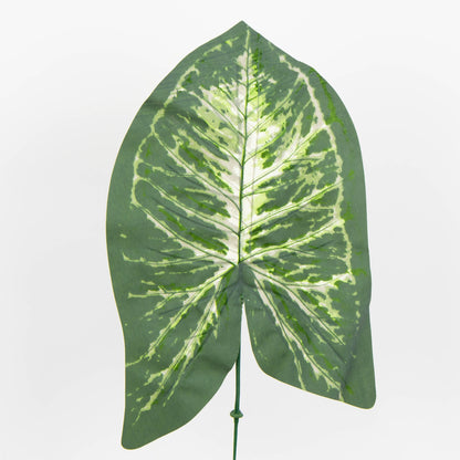 Tekolehti, 47 cm, 12 kpl