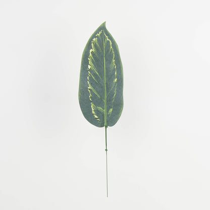 Tekolehti, 48 cm, 12 kpl