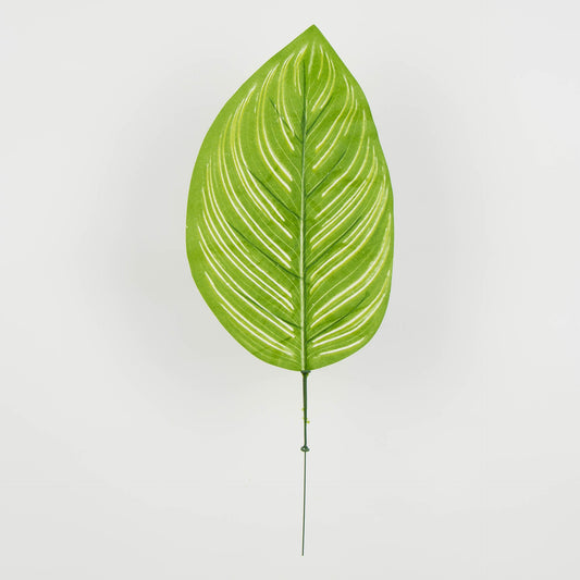 Tekolehti, 48 cm, 12 kpl