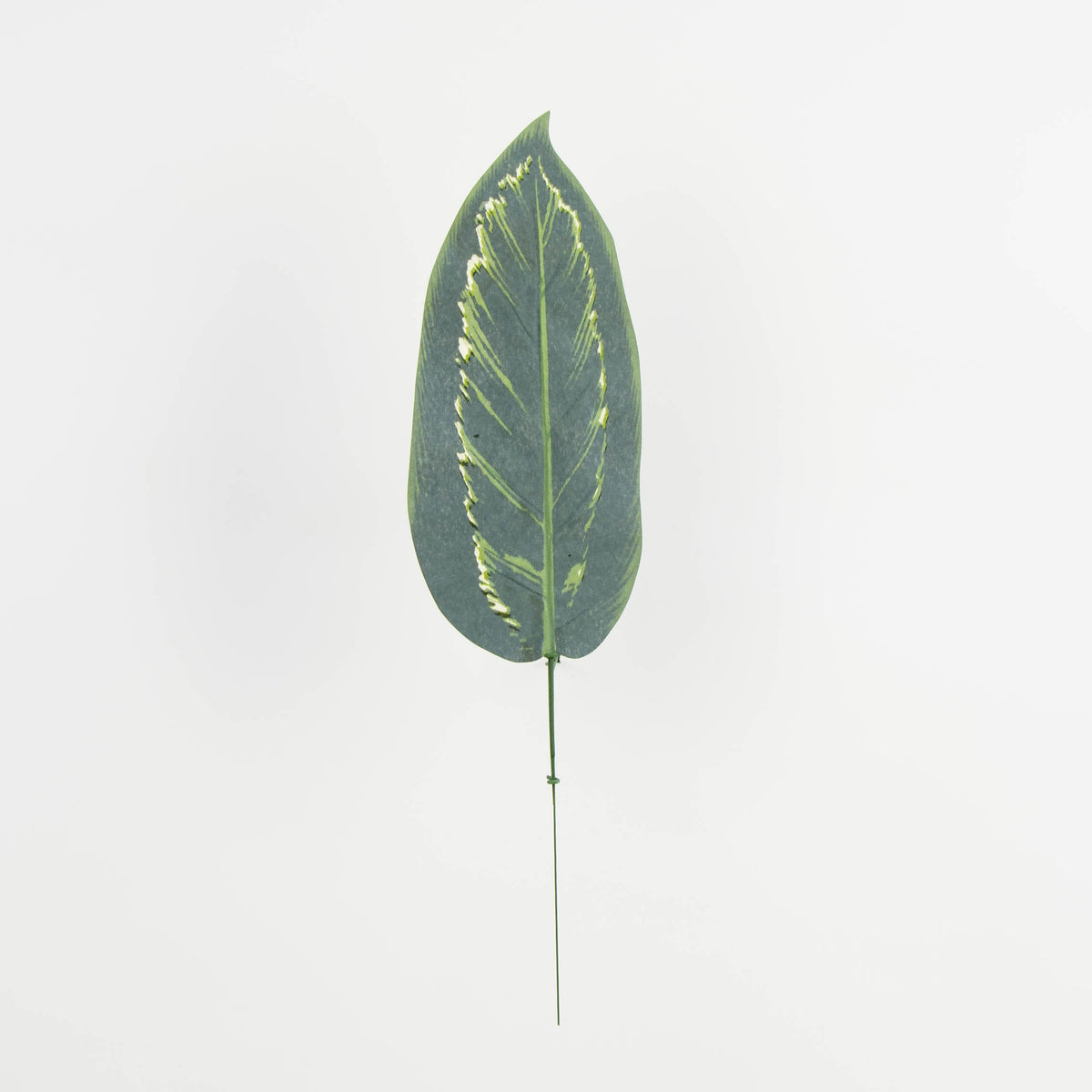 Tekolehti, 48 cm, 12 kpl