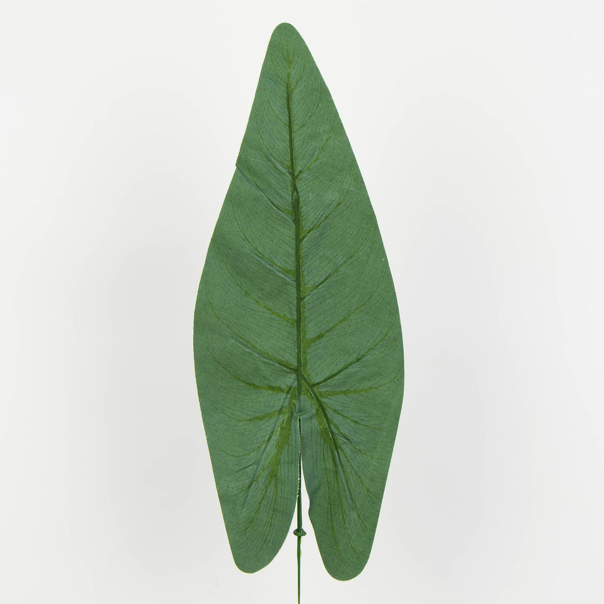 Tekolehti, 48 cm, 12 kpl