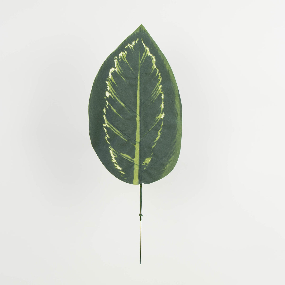 Tekolehti, 48 cm, 12 kpl