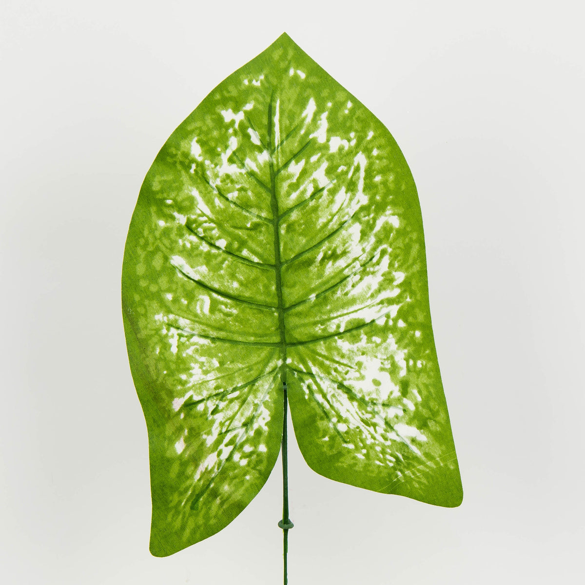 Tekolehti, 48 cm, 12 kpl