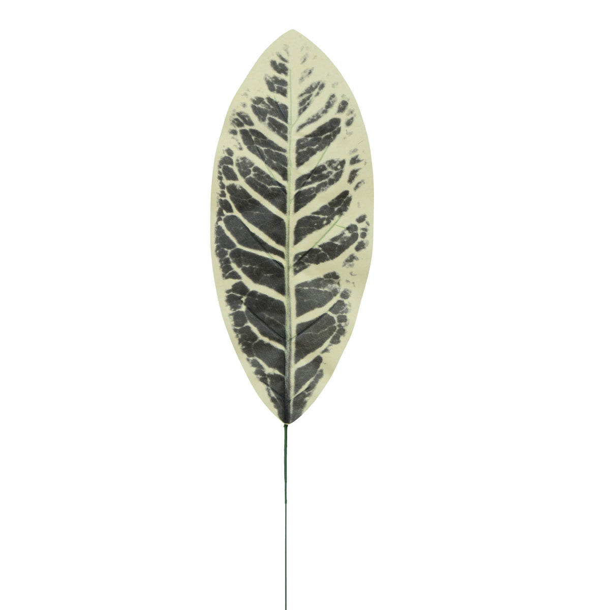 Tekolehti, 49 cm