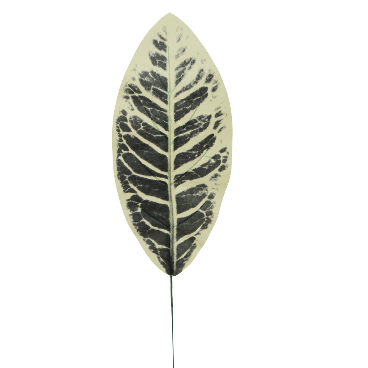 Tekolehti, 49 cm
