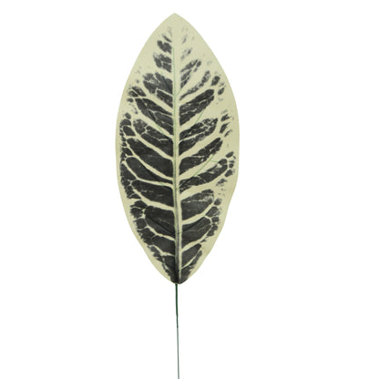 Tekolehti, 49 cm