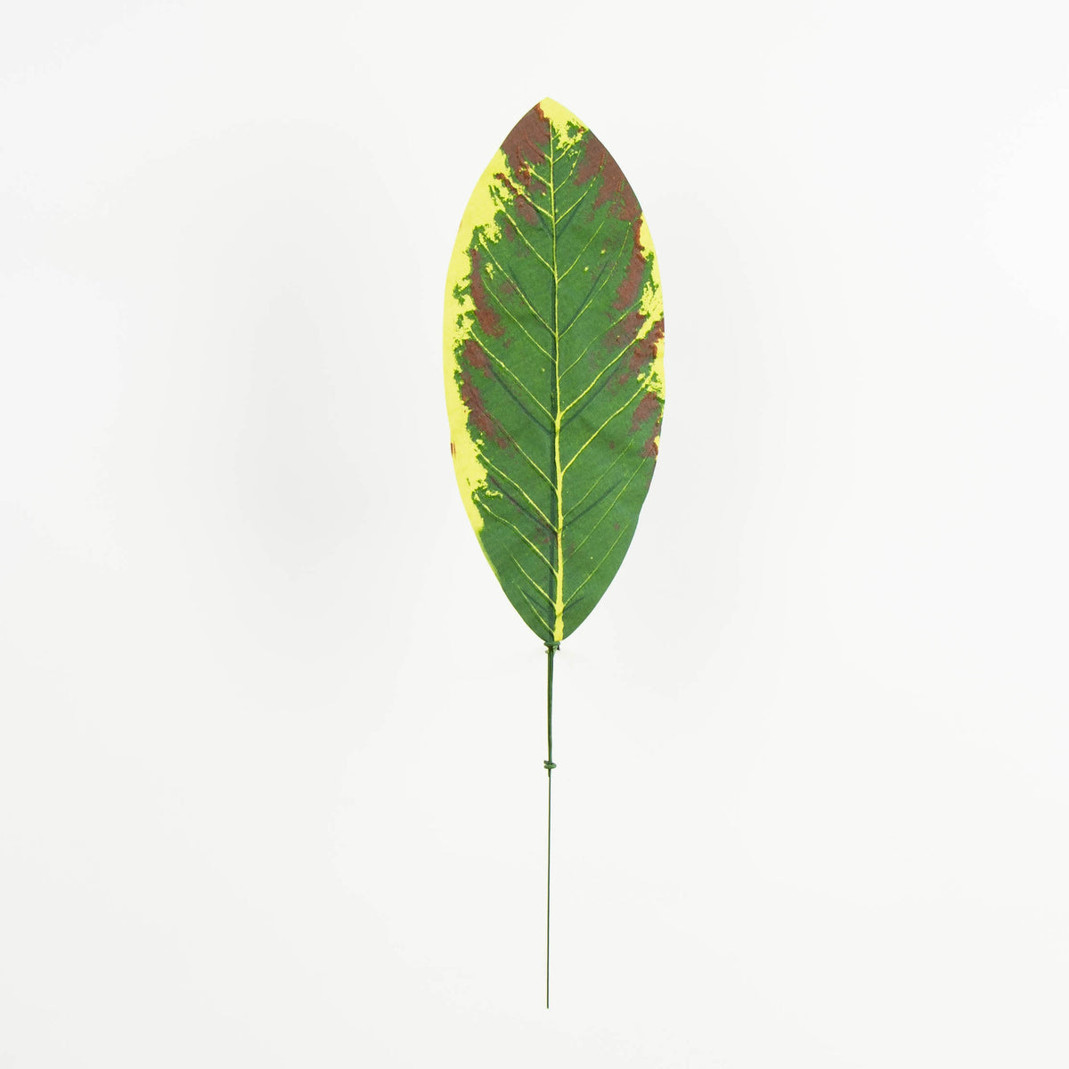 Tekolehti, 49 cm, 12 kpl