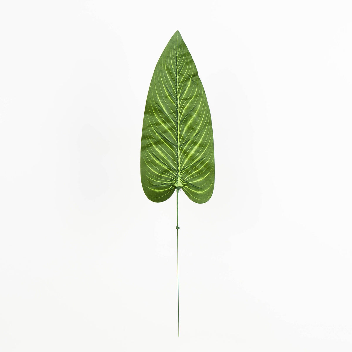 Tekolehti, 50 cm, 12 kpl