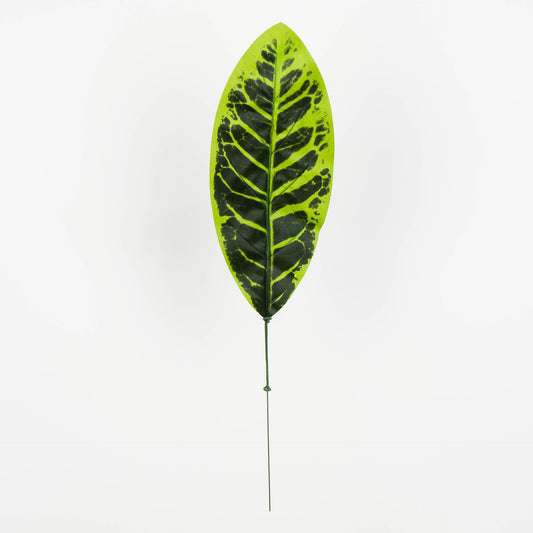 Tekolehti, 50 cm, 12 kpl