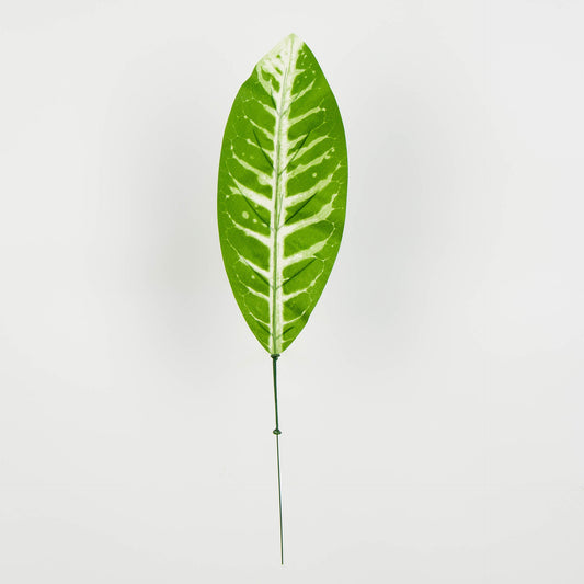 Tekolehti, 50 cm, 12 kpl