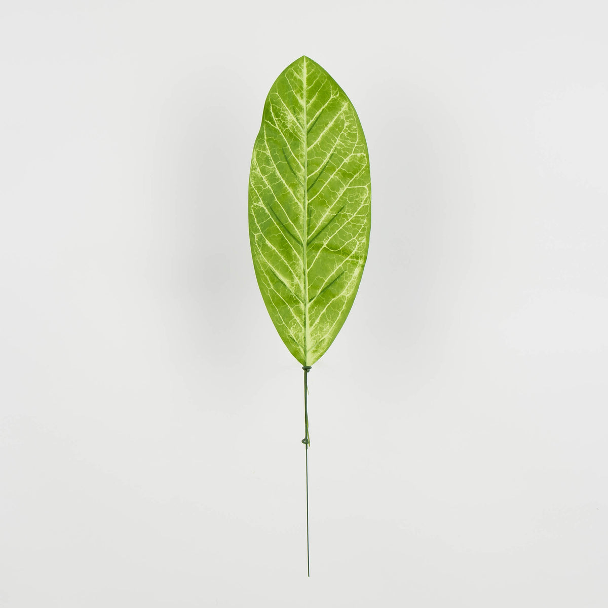 Tekolehti, 50 cm, 12 kpl
