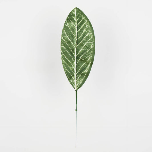 Tekolehti, 50 cm, 12 kpl