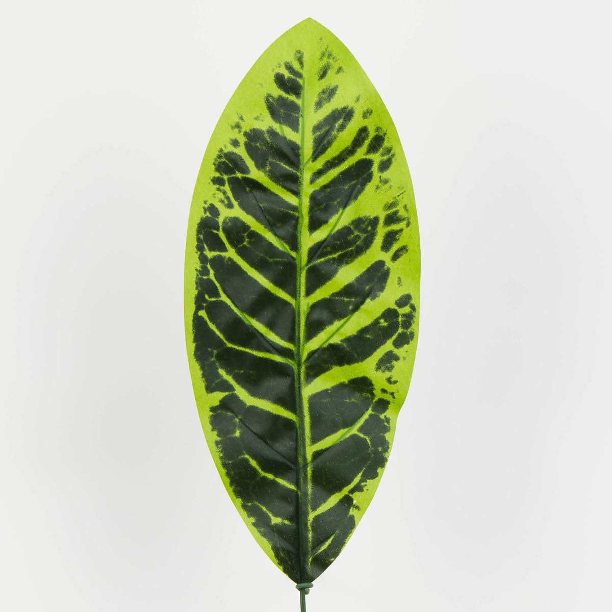 Tekolehti, 50 cm, 12 kpl