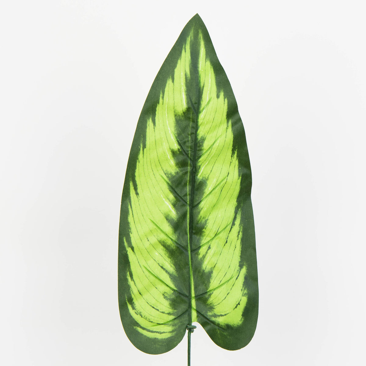 Tekolehti, 50 cm, 12 kpl