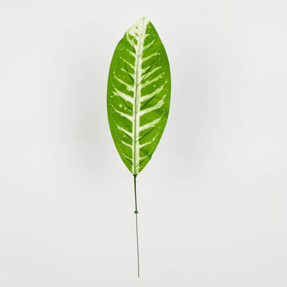 Tekolehti, 50 cm, 12 kpl