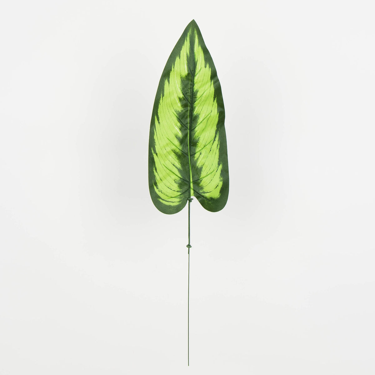 Tekolehti, 50 cm, 12 kpl