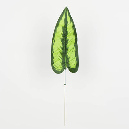 Tekolehti, 50 cm, 12 kpl