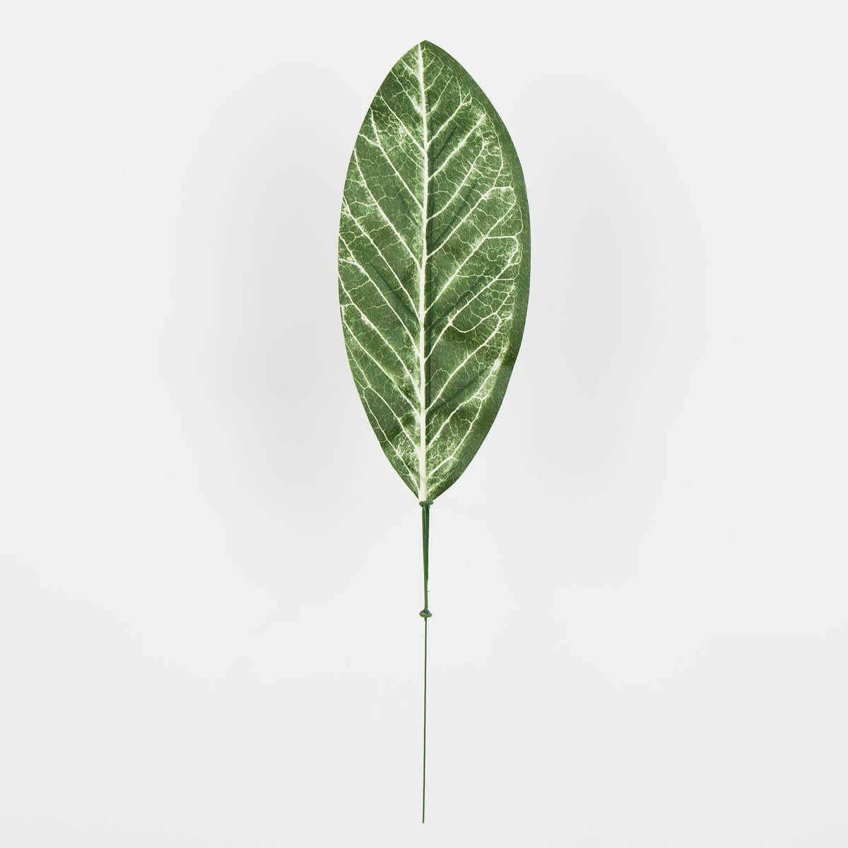 Tekolehti, 50 cm, 12 kpl