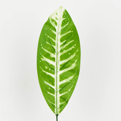 Tekolehti, 50 cm, 12 kpl