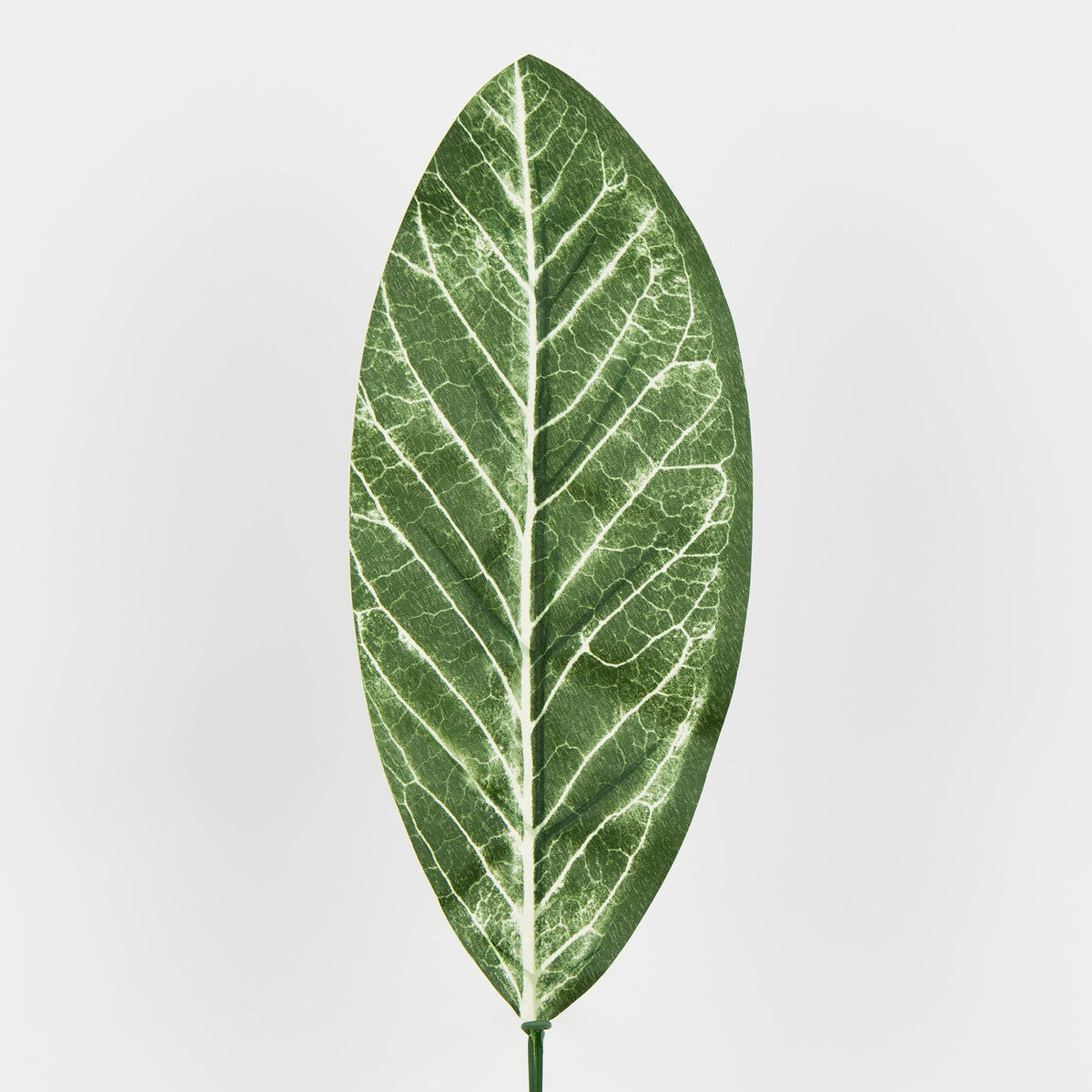 Tekolehti, 50 cm, 12 kpl
