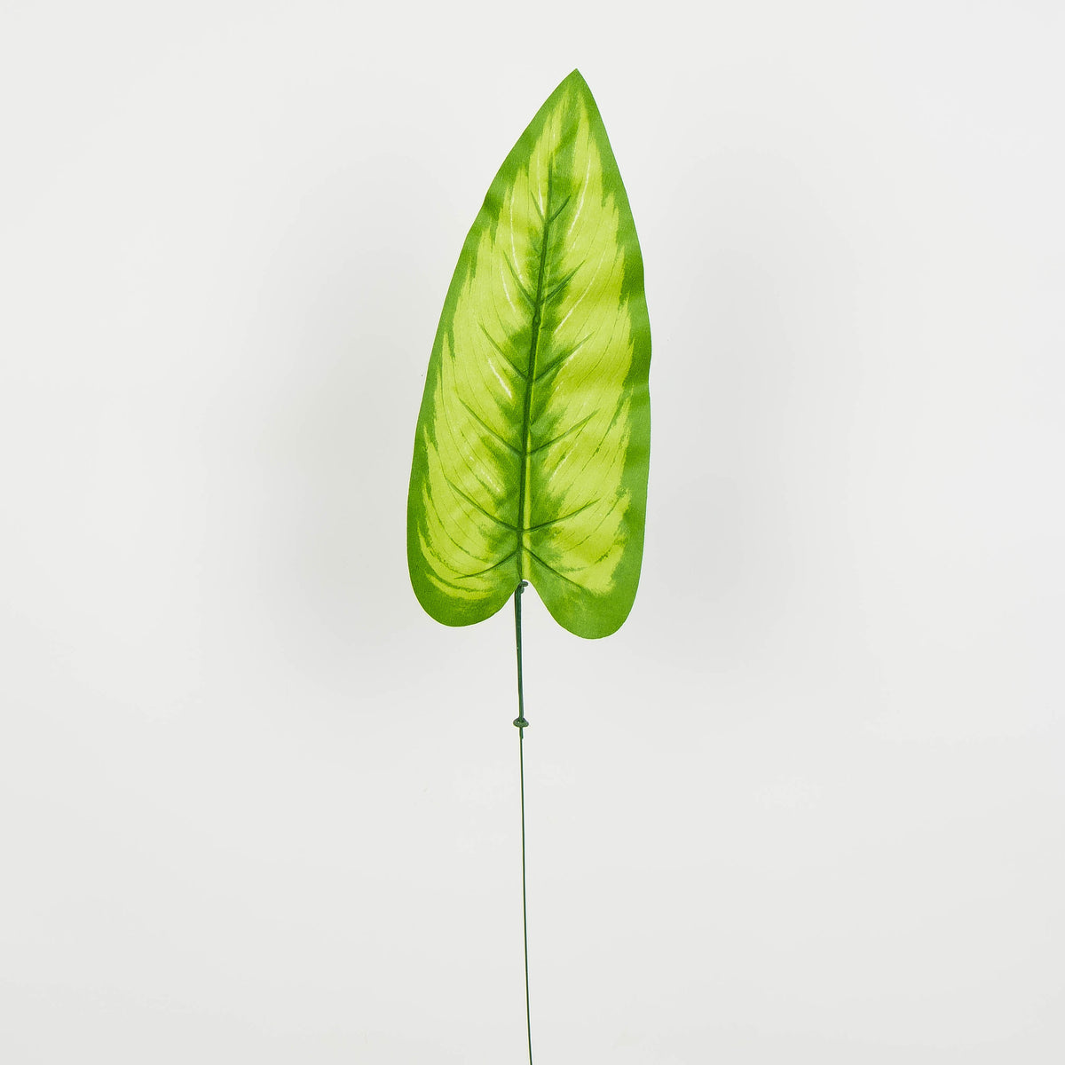 Tekolehti, 51 cm, 12 kpl