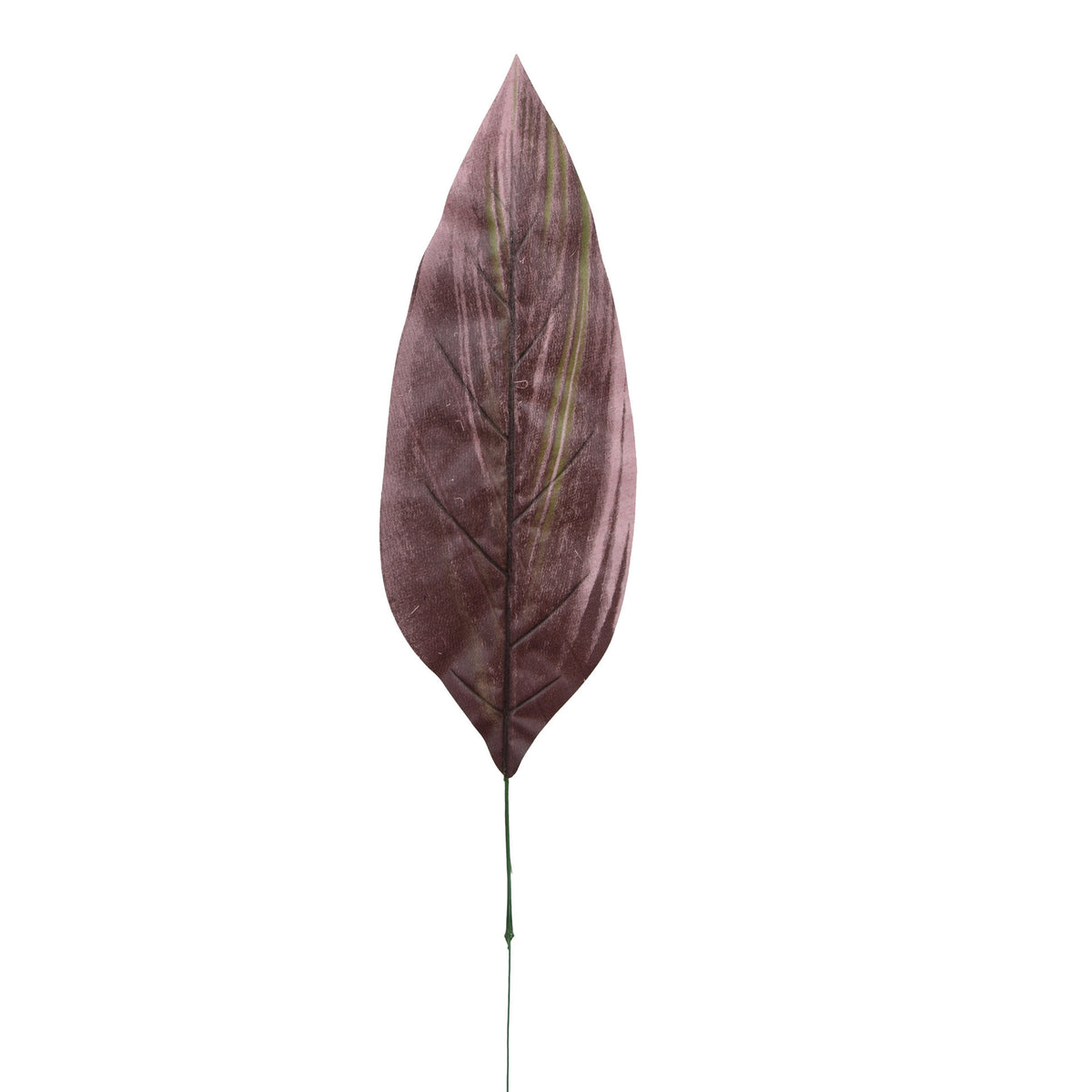 Tekolehti, 64 cm