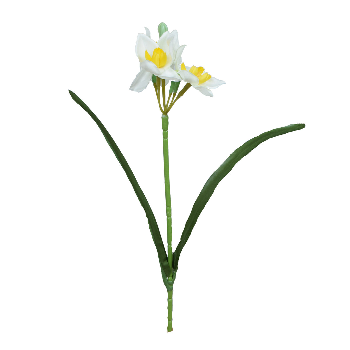 Tekonarsissin kukkavarsi, 36 cm