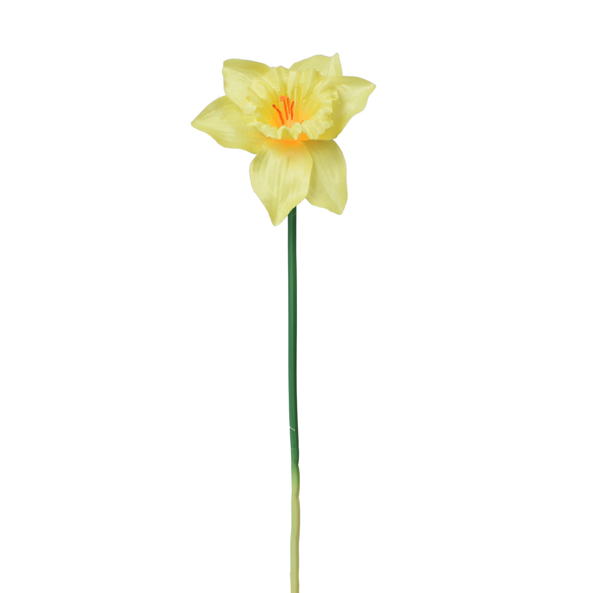 Tekonarsissin kukkavarsi, 39 cm