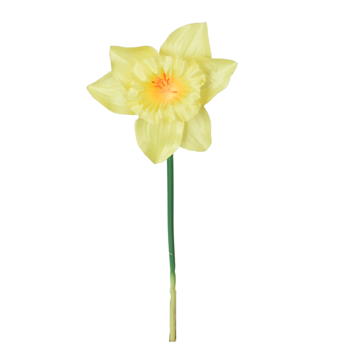 Tekonarsissin kukkavarsi, 39 cm