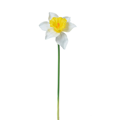 Tekonarsissin kukkavarsi, 39 cm