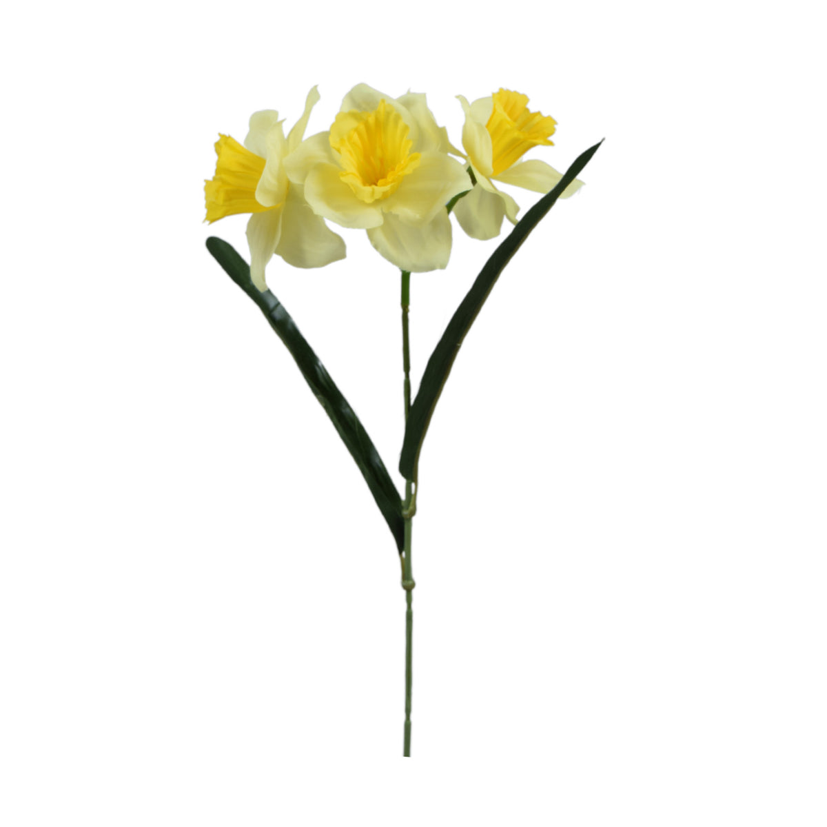Tekonarsissin kukkavarsi, 39 cm