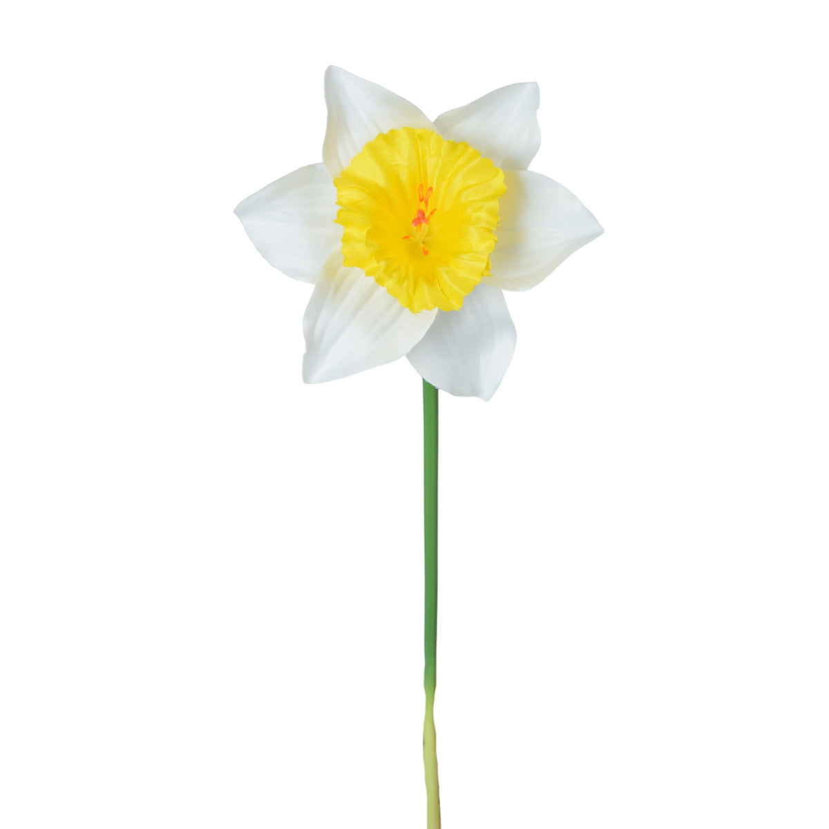 Tekonarsissin kukkavarsi, 39 cm