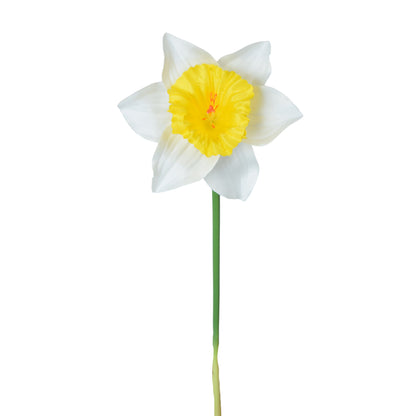 Tekonarsissin kukkavarsi, 39 cm