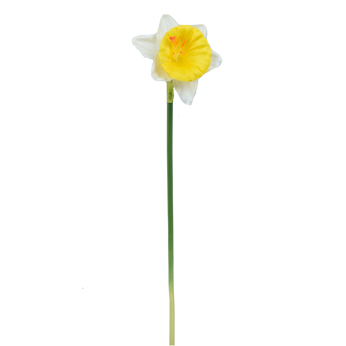 Tekonarsissin kukkavarsi, 40 cm