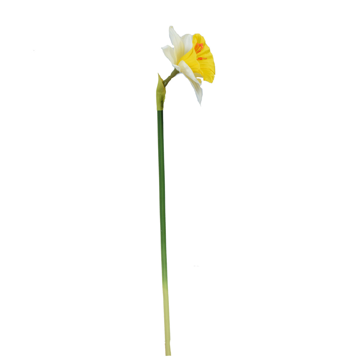 Tekonarsissin kukkavarsi, 40 cm