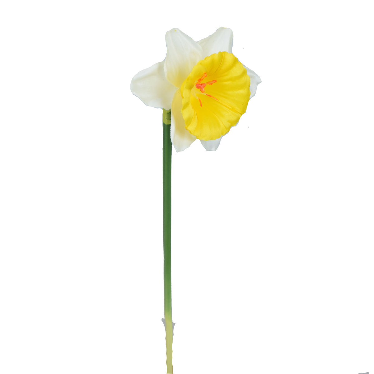 Tekonarsissin kukkavarsi, 40 cm