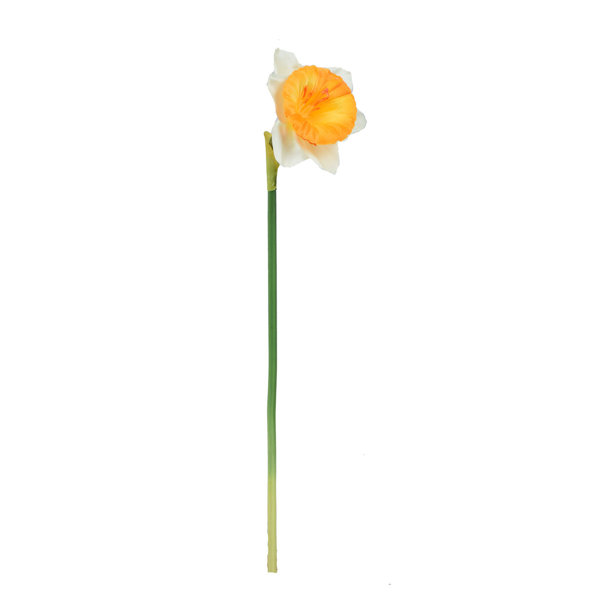 Tekonarsissin kukkavarsi, 40 cm