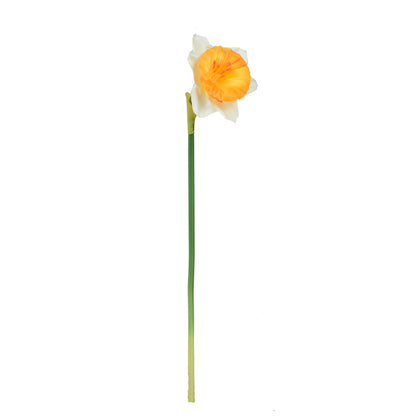 Tekonarsissin kukkavarsi, 40 cm