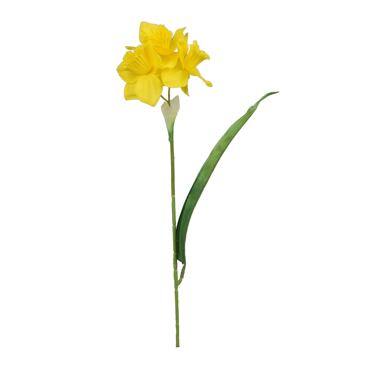 Tekonarsissin kukkavarsi, 41 cm
