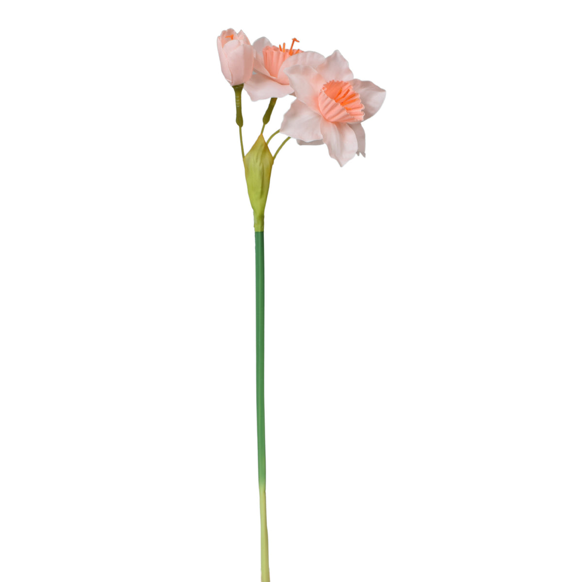 Tekonarsissin kukkavarsi, 44 cm