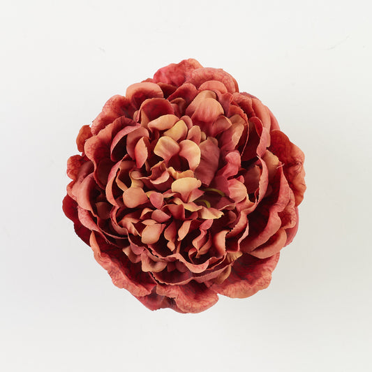 Tekopionin kukkapää, 7 cm