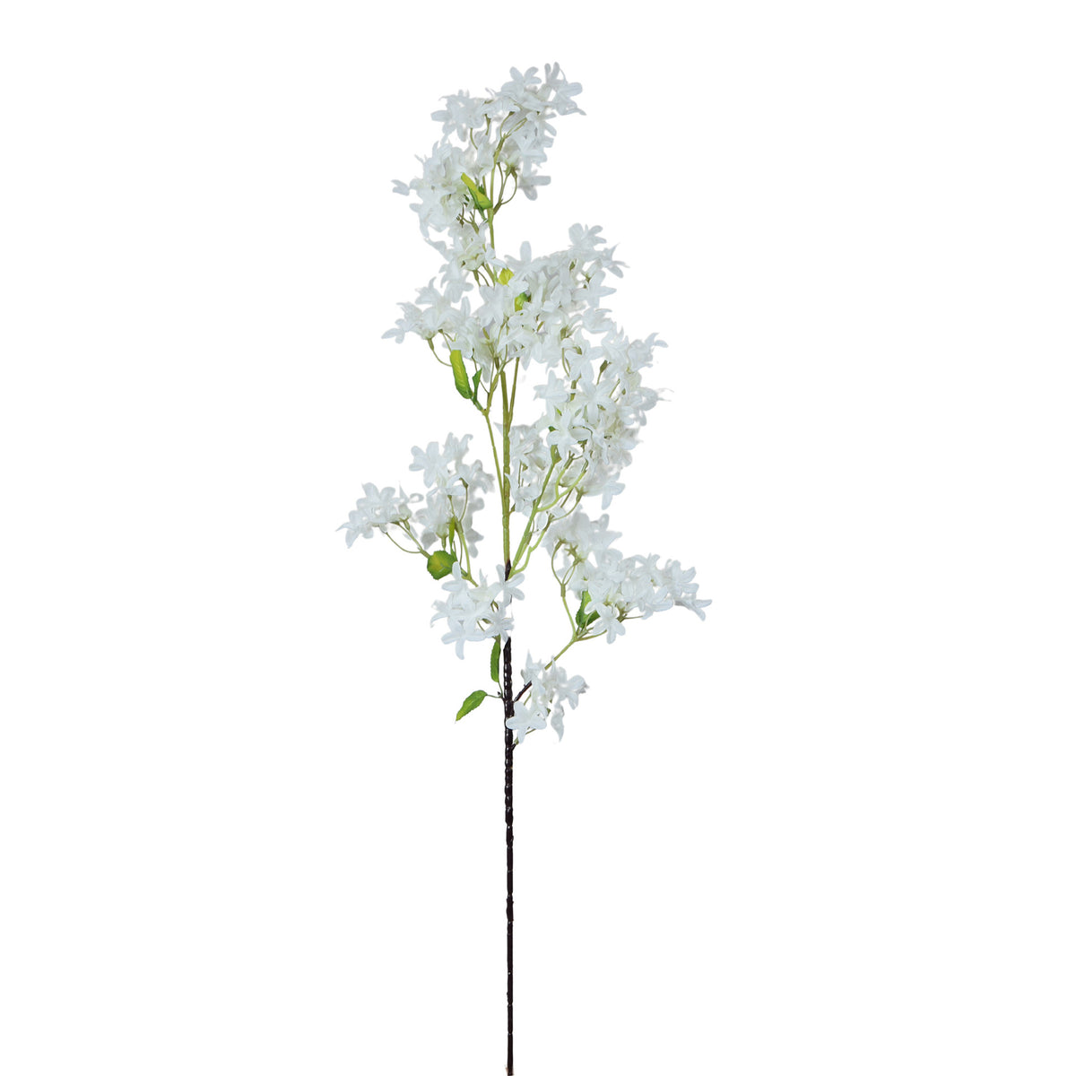 Tekosyreenin kukkavarsi, 99 cm