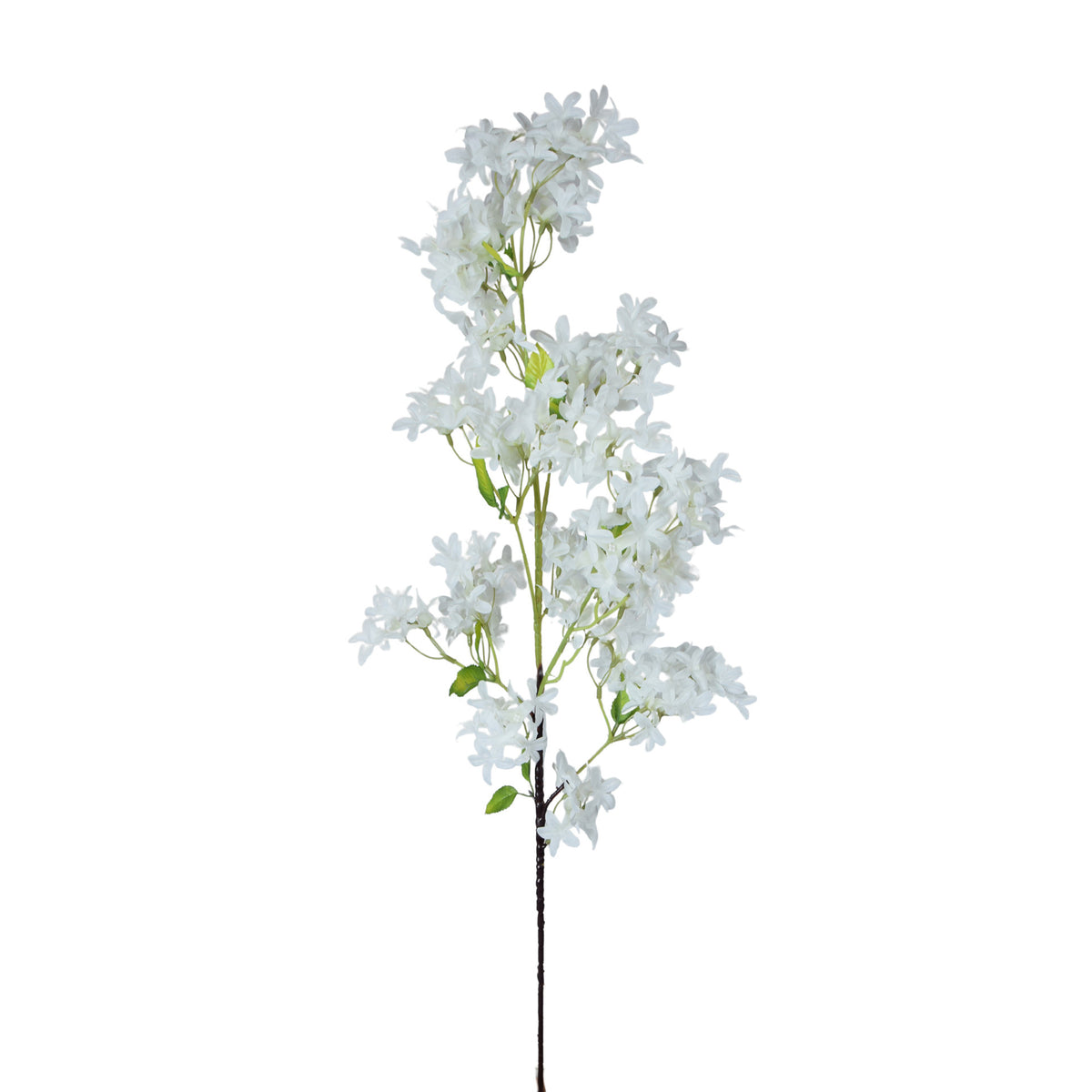 Tekosyreenin kukkavarsi, 99 cm