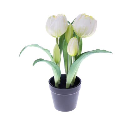 Tekotulppaanin kimppu, 24 cm