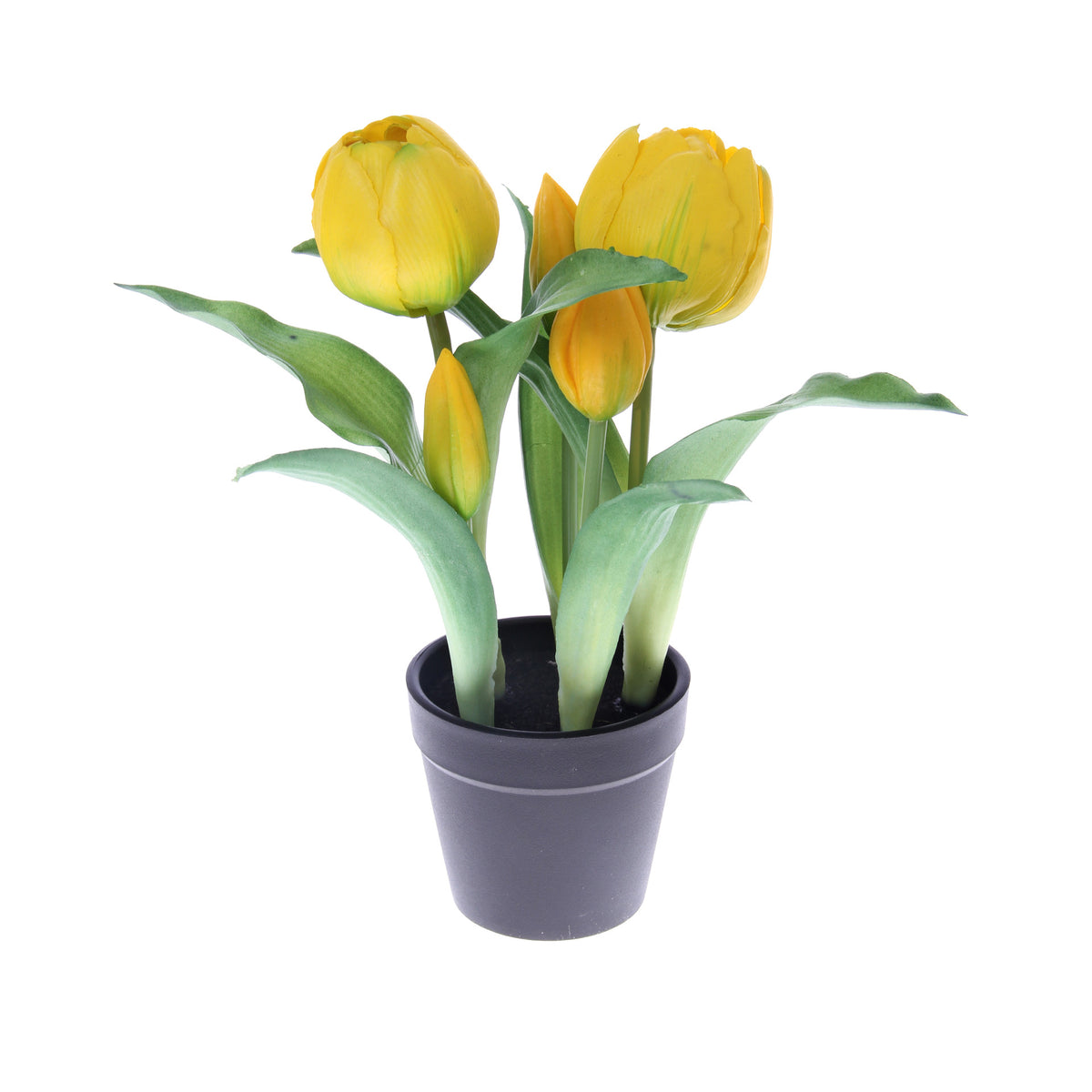 Tekotulppaanin kimppu, 24 cm